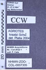 Etiketten zu Agriotes kraatzi (Schwarz, 1891) (NHMW-ZOO-COL-0007305)